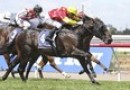 In-form Hayes stable with strong hand at Caulfield