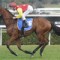 Black type goal for Jacinta