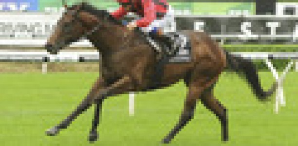Hallowed Crown to start in Run To The Rose