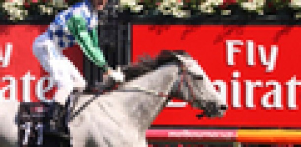 Puissance De Lune better suited in Memsie