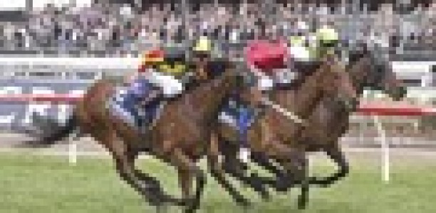 Punters ignore heavy track query