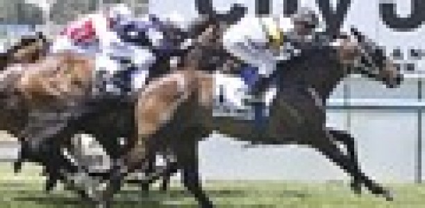 Gutsy Snitzel doubles up
