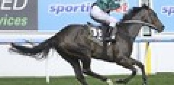 Dual Group 1 winner Samaready retired