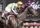 Cox Plate reassessed for Commanding Jewel