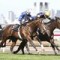 Fear of firm track sees Merion scratched