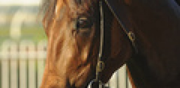 Deane Martin gets 1kg penalty for Melbourne Cup