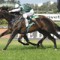 Cluster a chance for Darley Classic