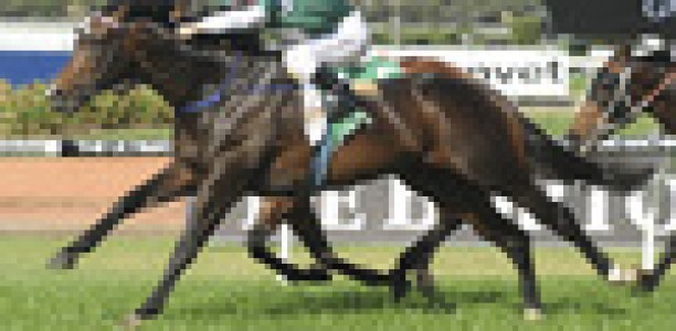 Cluster a chance for Darley Classic