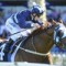 James McDonald to ride Shooting To Win in Guineas