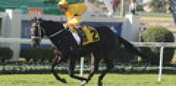 Brazen Beau in stunning trial win