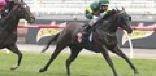 Confusion over Black Caviar Lightning date