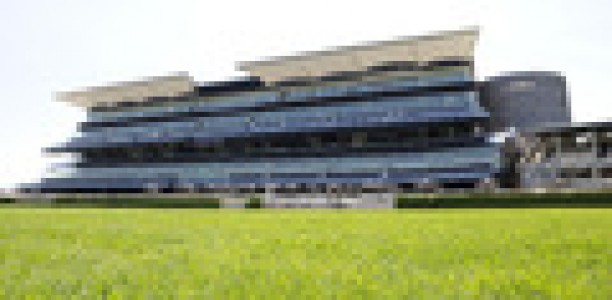 Royal Randwick track the big query