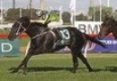 Lucia Valentina on path to Caulfield Cup