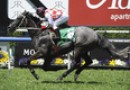 Waller wins his fourth Wyong Cup