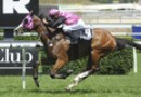 Foreign Prince relishes wet at Randwick