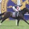 Spring may not be over for Lord Of The Sky