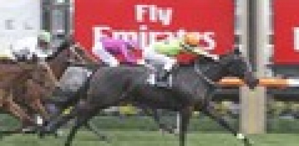 Commanding Jewel officially on Cox Plate path