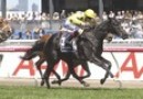 Side Glance may miss Caulfield Cup and Cox Plate
