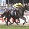 Side Glance may miss Caulfield Cup and Cox Plate