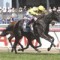 Side Glance may miss Caulfield Cup and Cox Plate