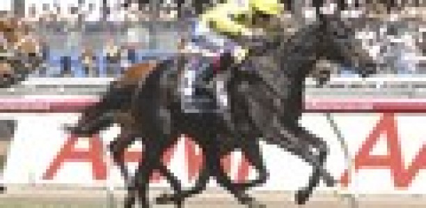 Side Glance may miss Caulfield Cup and Cox Plate