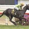 Jewel sparkles again in Let’s Elope