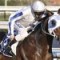 Dissident soars into Cox Plate favouritism