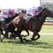 Maher outlines plans for stable stars