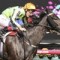 Commanding Jewel to Stock Stakes