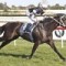 Comeback galloper Sincero trials strongly