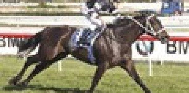 Comeback galloper Sincero trials strongly