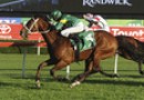 Only six left in the Hill Stakes