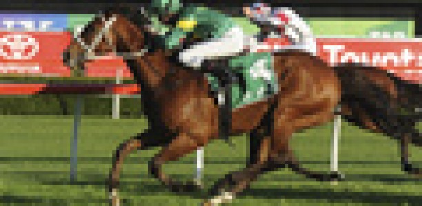 Only six left in the Hill Stakes