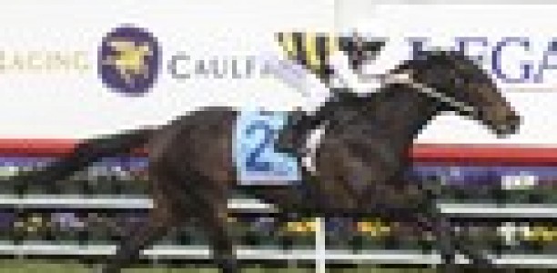 Pakal out of spring carnival