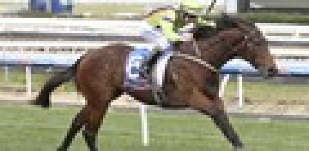 Home track may have brought down Zeletto