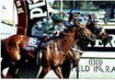 Alderson-trained baby heavily backed