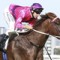 Michael Rodd suspended but clear for Guineas