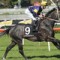 Losing jockey comments: Gilgai Stakes