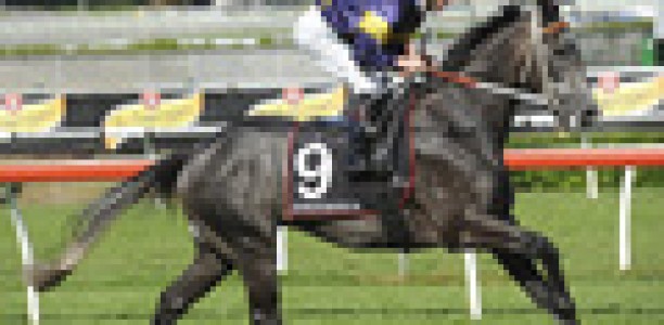 Losing jockey comments: Gilgai Stakes