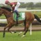 TVN’s early mail for Sunday