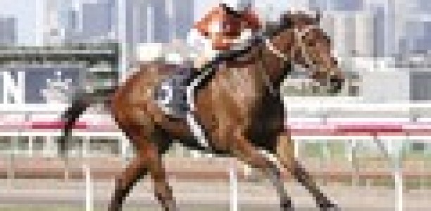 Who Shot Thebarman 1.5kgs Caulfield Cup penalty