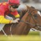 First Seal accepts for Spring Champion Stakes