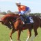 Queensland mentor joins big-name trainers
