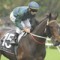 Fare chance for a double