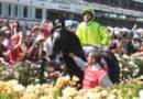 Dandino impresses in Werribee gallop