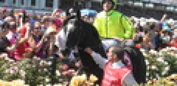Dandino impresses in Werribee gallop