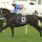 Hawkes not worrying about Melbourne Cup with La Amistad