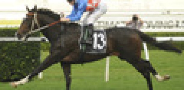 Hawkes not worrying about Melbourne Cup with La Amistad