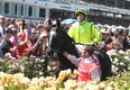 Dandino scratched from Caulfield Cup
