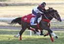 Vet checks on Bande and The Offer